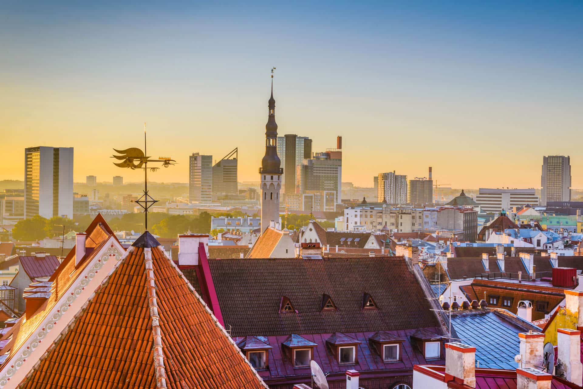 Crypto license obtainment in Estonia