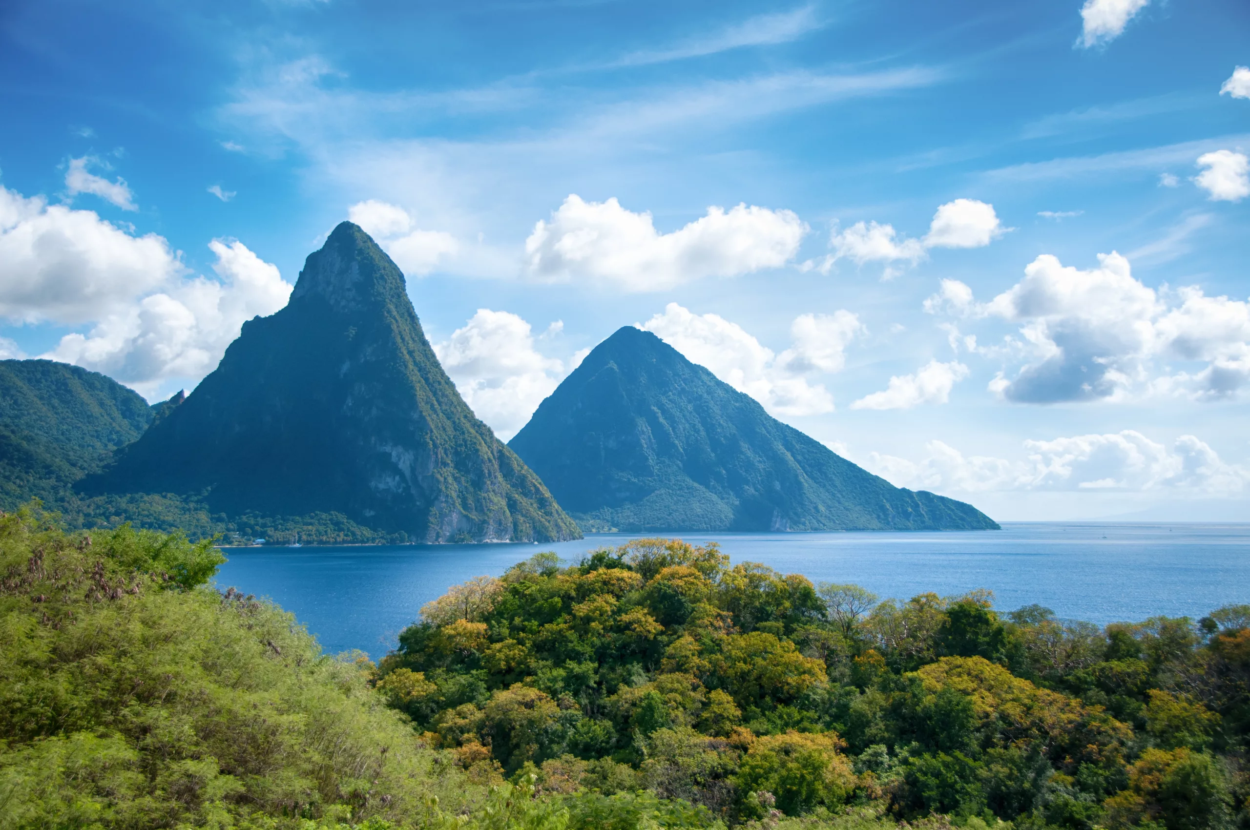 Get a forex license in Saint Lucia with experts